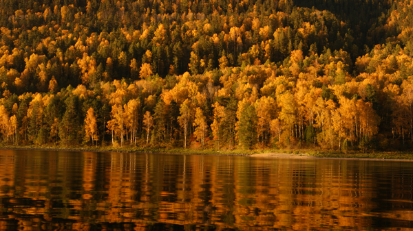 Золотое Озеро Фото